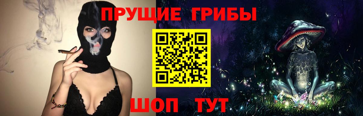 Галлюциногенные грибы прущие грибы  Вход с VPN  Сосновоборск 
