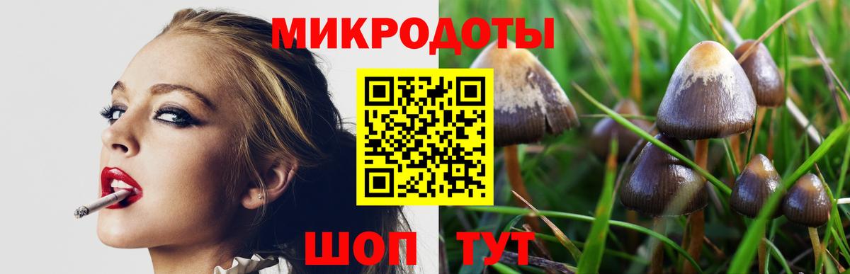 Галлюциногенные грибы ЛСД Сосновоборск