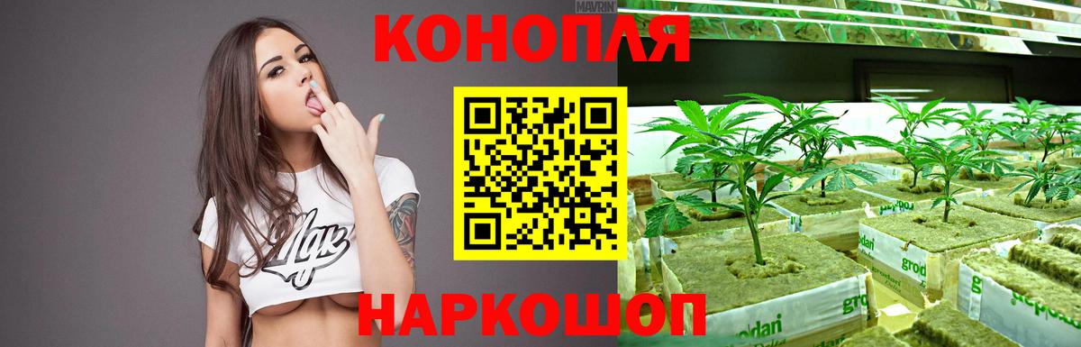 Канабис SATIVA & INDICA Сосновоборск